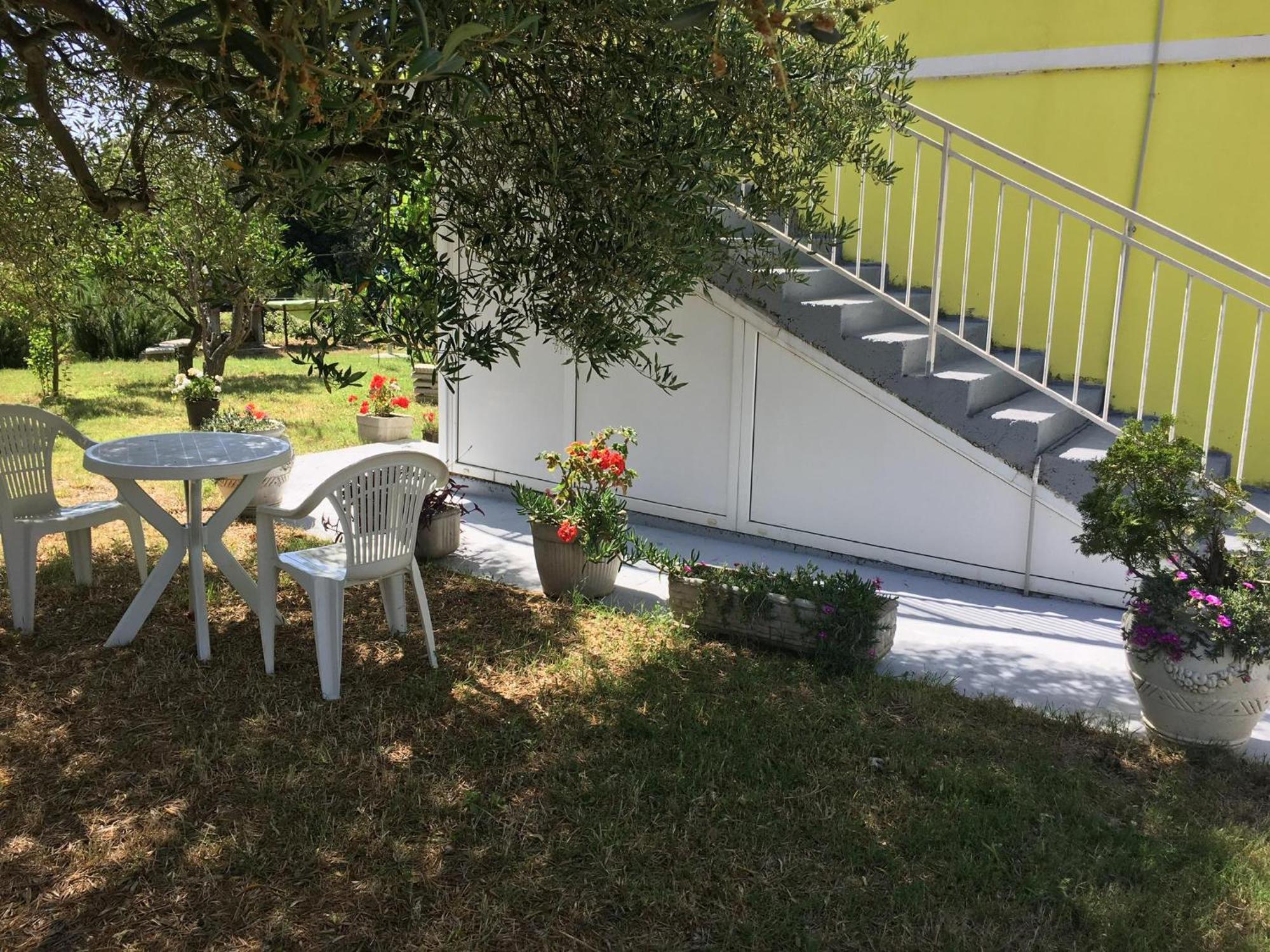Apartments Monika Bibinje Bagian luar foto